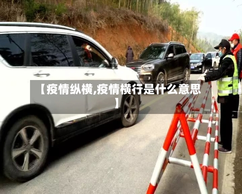 【疫情纵横,疫情横行是什么意思】-第2张图片