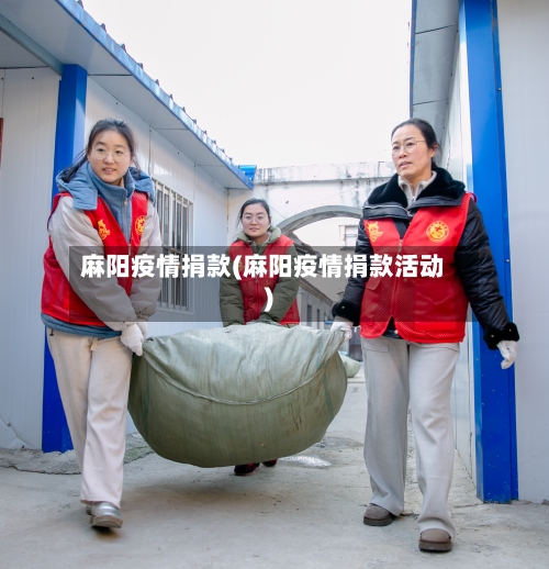 麻阳疫情捐款(麻阳疫情捐款活动)-第2张图片