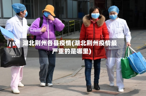 湖北荆州各县疫情(湖北荆州疫情最严重的是哪里)-第2张图片