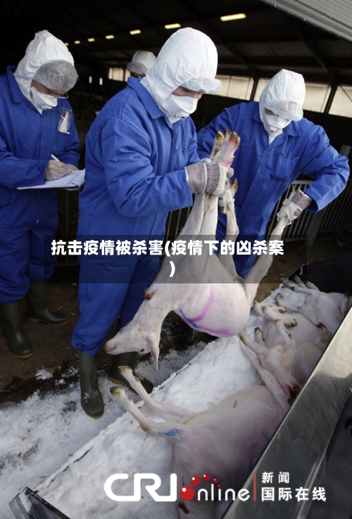 抗击疫情被杀害(疫情下的凶杀案)