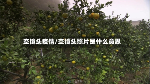 空镜头疫情/空镜头照片是什么意思-第2张图片