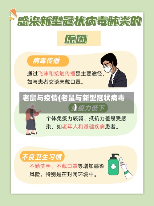 老鼠与疫情(老鼠与新型冠状病毒)