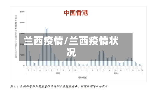 兰西疫情/兰西疫情状况