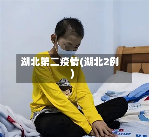 湖北第二疫情(湖北2例)