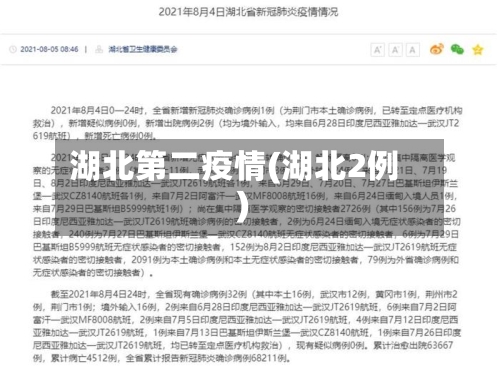 湖北第二疫情(湖北2例)-第2张图片