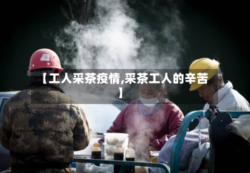 【工人采茶疫情,采茶工人的辛苦】-第2张图片