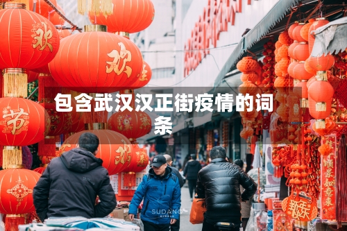 包含武汉汉正街疫情的词条