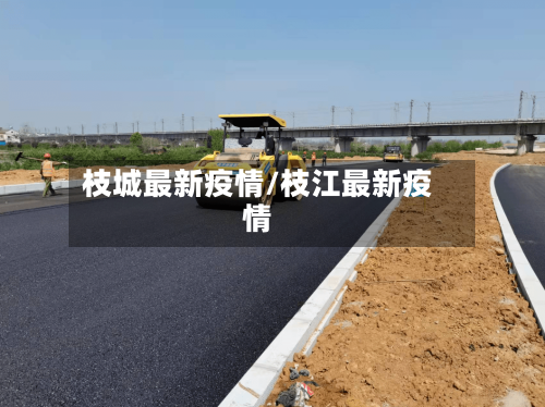 枝城最新疫情/枝江最新疫情-第2张图片