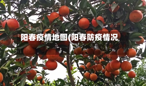 阳春疫情地图(阳春防疫情况)