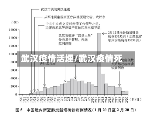 武汉疫情活埋/武汉疫情死-第2张图片