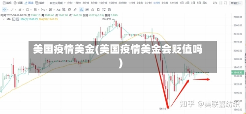美国疫情美金(美国疫情美金会贬值吗)-第2张图片