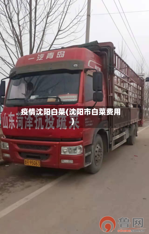 疫情沈阳白菜(沈阳市白菜费用)