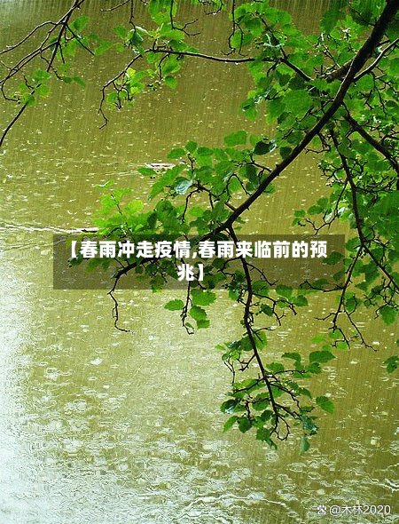 【春雨冲走疫情,春雨来临前的预兆】-第2张图片