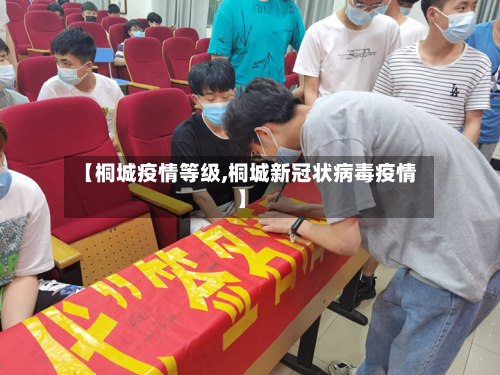 【桐城疫情等级,桐城新冠状病毒疫情】-第2张图片