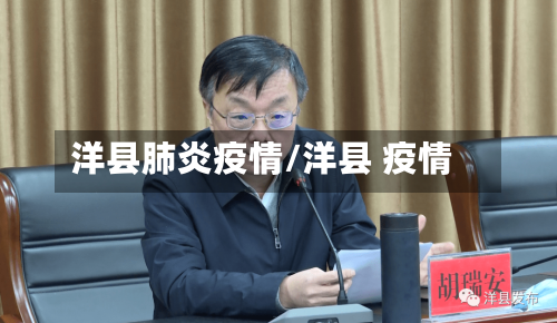 洋县肺炎疫情/洋县 疫情