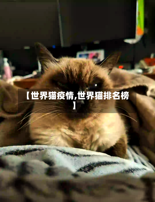 【世界猫疫情,世界猫排名榜】
