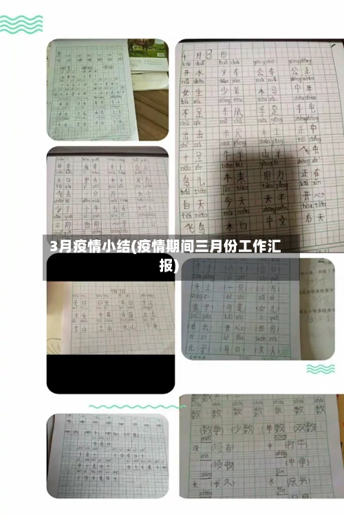 3月疫情小结(疫情期间三月份工作汇报)-第2张图片