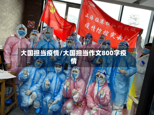 大国担当疫情/大国担当作文800字疫情