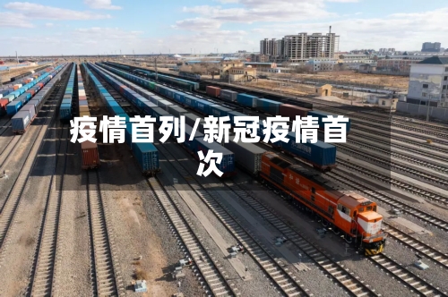 疫情首列/新冠疫情首次-第2张图片