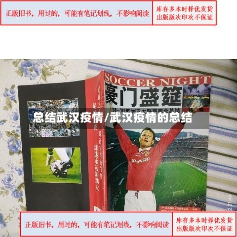 总结武汉疫情/武汉疫情的总结