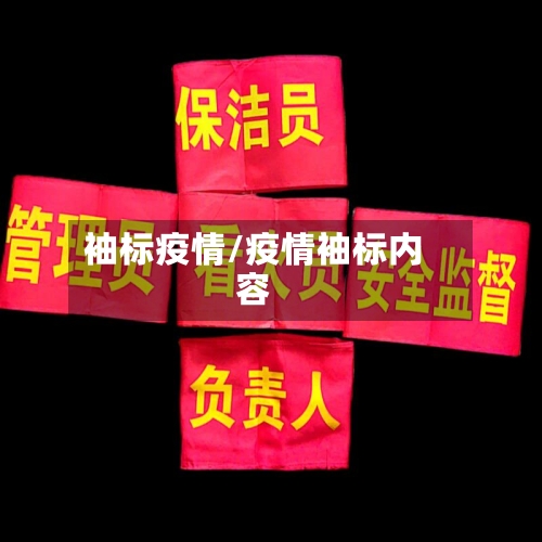 袖标疫情/疫情袖标内容