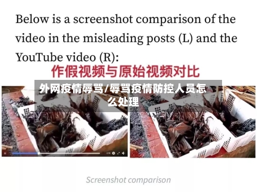 外网疫情辱骂/辱骂疫情防控人员怎么处理-第3张图片