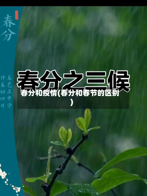春分和疫情(春分和春节的区别)