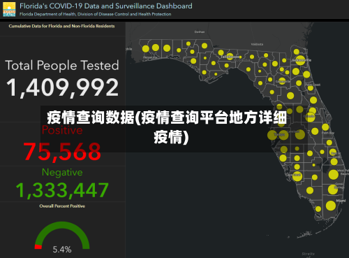 疫情查询数据(疫情查询平台地方详细疫情)-第2张图片
