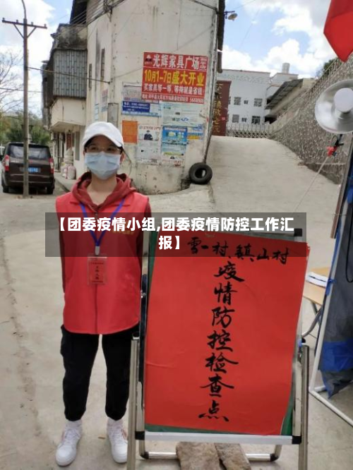 【团委疫情小组,团委疫情防控工作汇报】