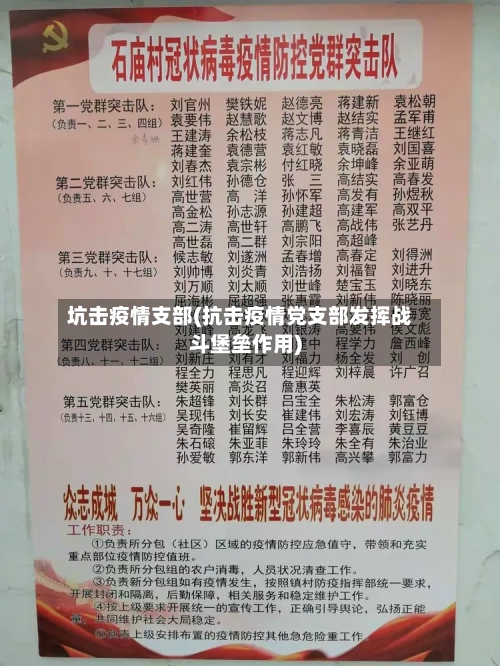 坑击疫情支部(抗击疫情党支部发挥战斗堡垒作用)