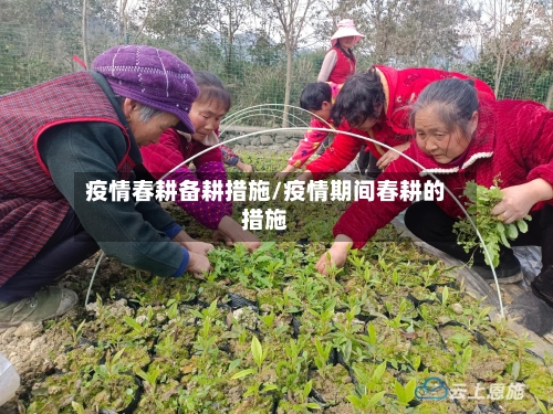 疫情春耕备耕措施/疫情期间春耕的措施