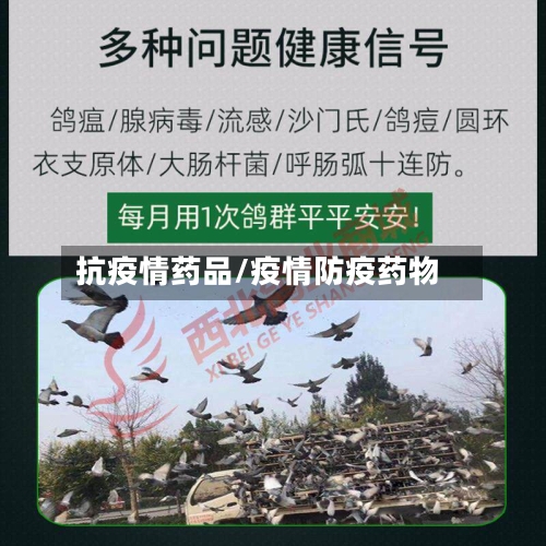 抗疫情药品/疫情防疫药物-第2张图片