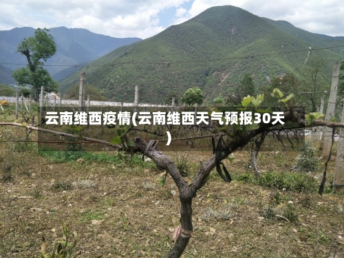 云南维西疫情(云南维西天气预报30天)
