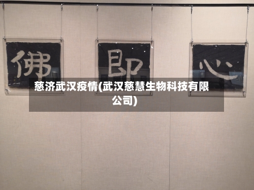 慈济武汉疫情(武汉慈慧生物科技有限公司)