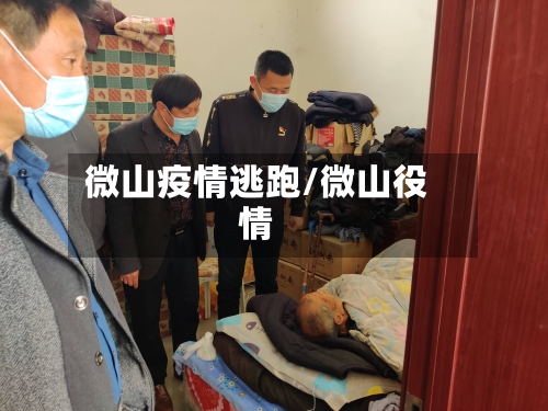 微山疫情逃跑/微山役情-第2张图片