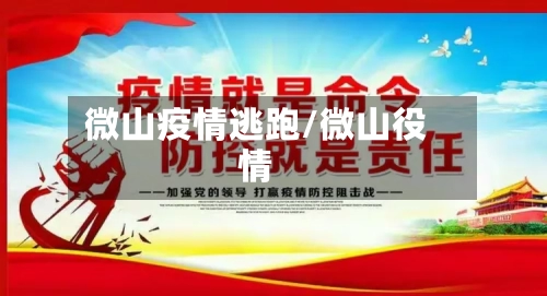 微山疫情逃跑/微山役情