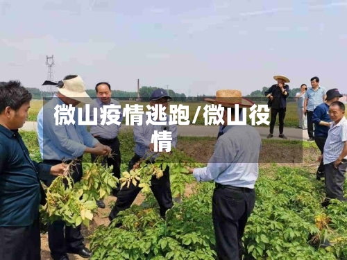 微山疫情逃跑/微山役情-第3张图片