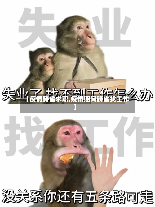 【疫情跨省求职,疫情期间跨省找工作】-第3张图片