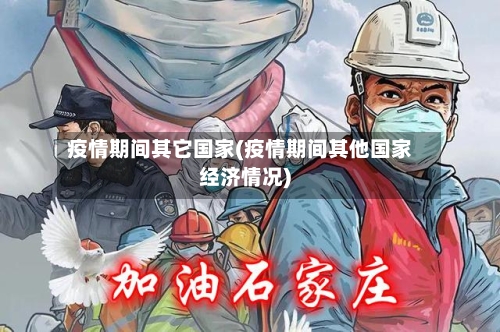 疫情期间其它国家(疫情期间其他国家经济情况)