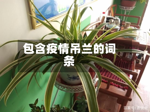 包含疫情吊兰的词条