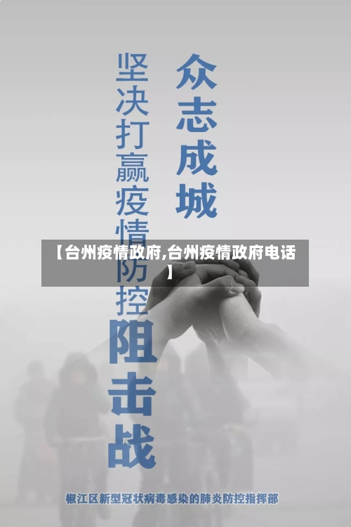 【台州疫情政府,台州疫情政府电话】
