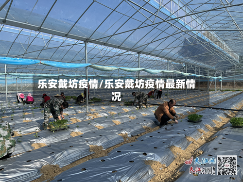 乐安戴坊疫情/乐安戴坊疫情最新情况