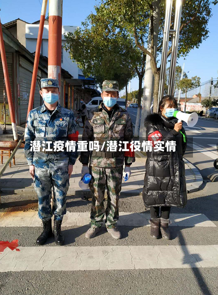 潜江疫情重吗/潜江役情实情-第2张图片