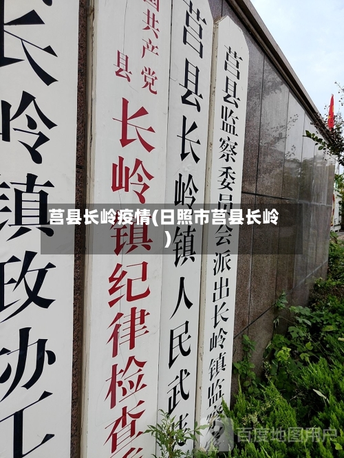 莒县长岭疫情(日照市莒县长岭)