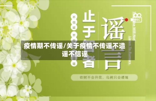 疫情期不传谣/关于疫情不传谣不造谣不信谣