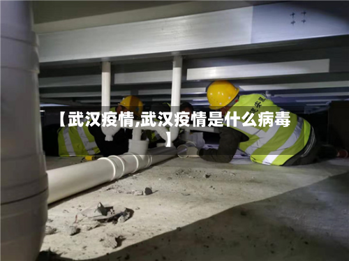 【武汉疫情,武汉疫情是什么病毒】
