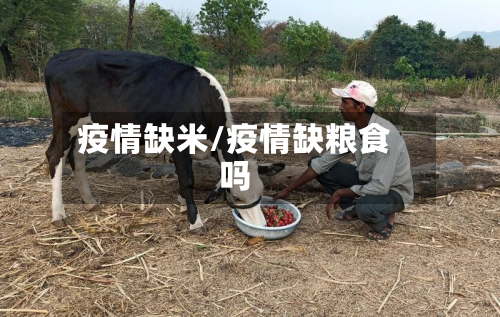 疫情缺米/疫情缺粮食吗