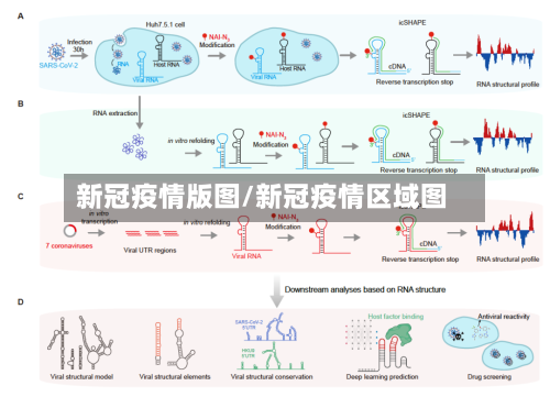 新冠疫情版图/新冠疫情区域图