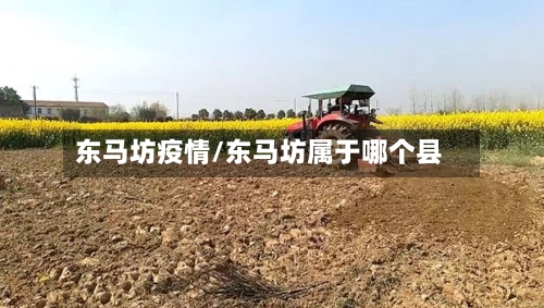 东马坊疫情/东马坊属于哪个县