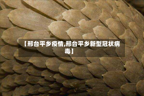 【邢台平乡疫情,邢台平乡新型冠状病毒】-第2张图片